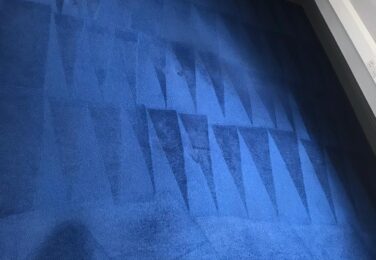 Advantages Of Choosing A Professional Carpet Cleaning Company