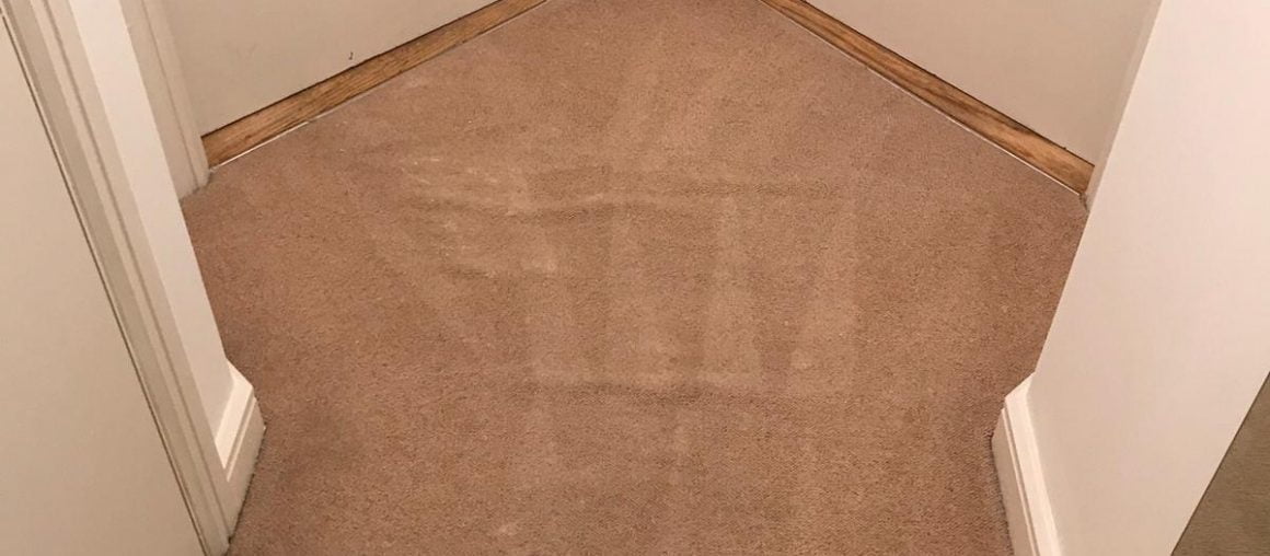 <h1>Carpets or Wood Floors – which is easier to maintain?</h1>
