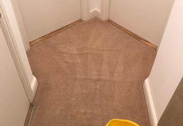 <h1>Carpets or Wood Floors – which is easier to maintain?</h1>