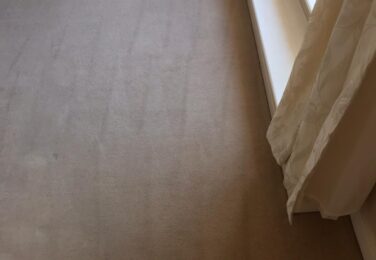 It Is Time To Spring Clean Your Carpets?
