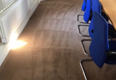 Local Carpet Cleaner