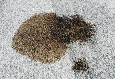 Getting Coffee Stains Off Your Carpet