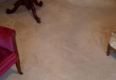 Get Ready for Some Carpet Cleaning
