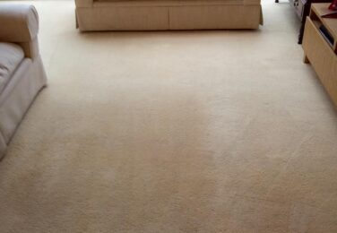 Ups And Downs With Carpet Cleaning