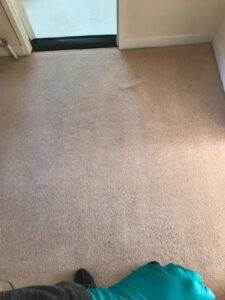 Carpet Cleaning Greenhills