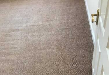Thinking Of DIY Carpet Cleaning? Here’s Why You Should Pause Your Plans