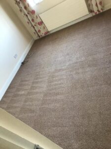 Carpet Cleaning Tyrrelstown