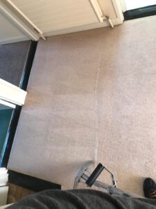 Carpet Cleaning Sutton