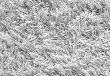 All About Upholstery Cleaning