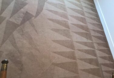 Why You Should Hire Specialist Carpet Cleaning Services