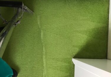 Value Of Professional Carpet Care