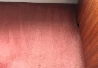 Risks Of DIY Carpet Cleaning