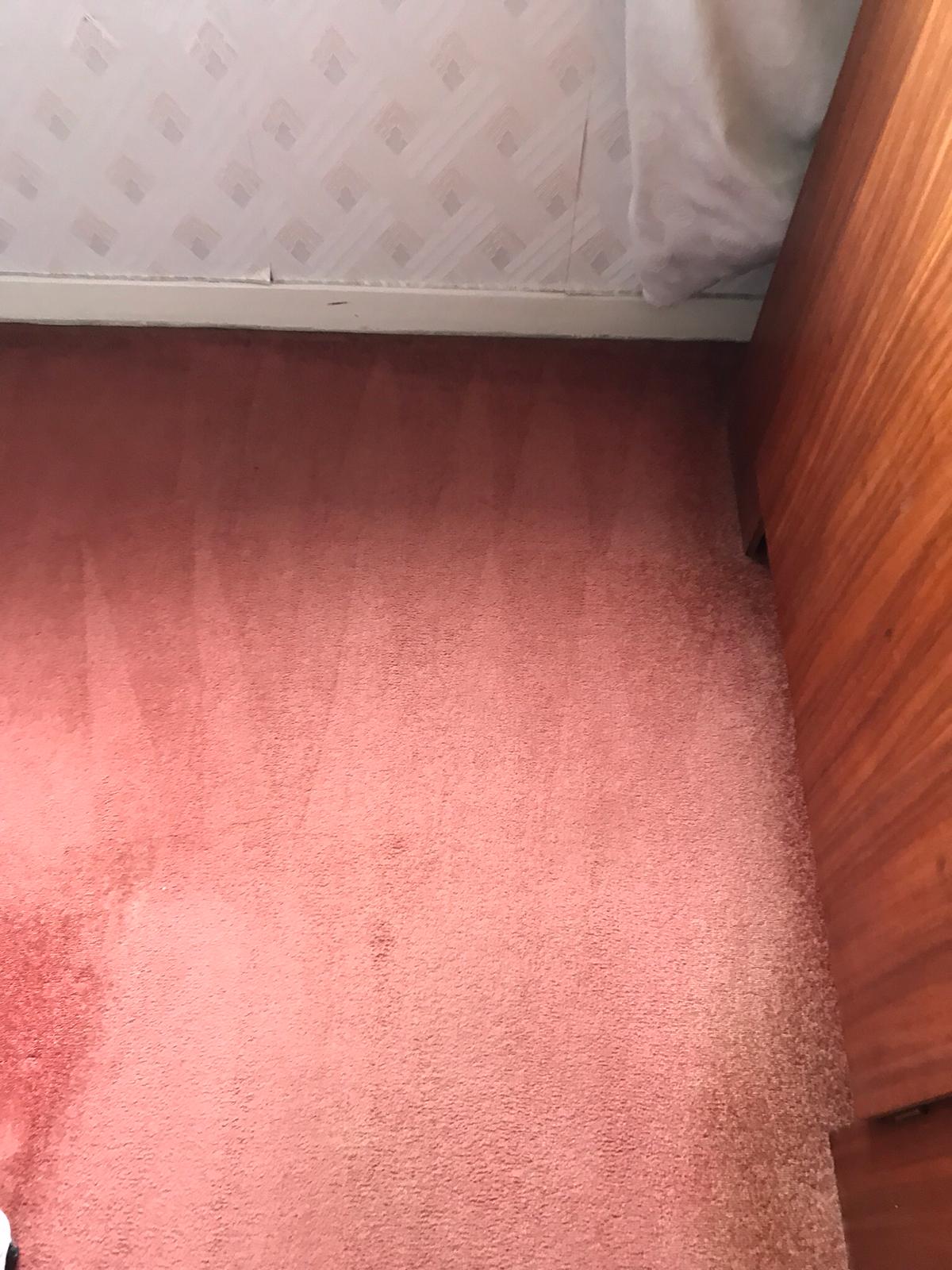 Risks Of DIY Carpet Cleaning