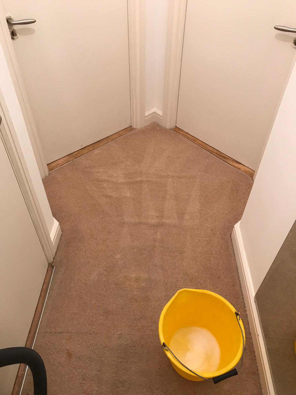 The Local Carpet Cleaning Team You Can Count On
