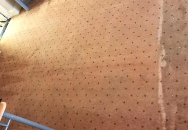 Health Value Of Quality Carpet Cleaning