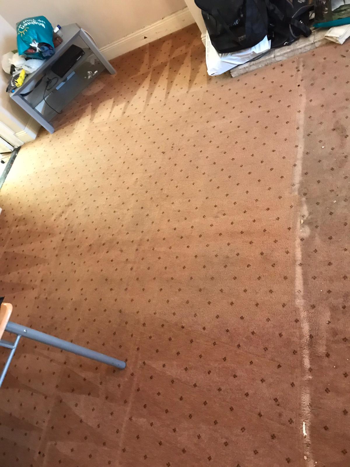 Health Value Of Quality Carpet Cleaning