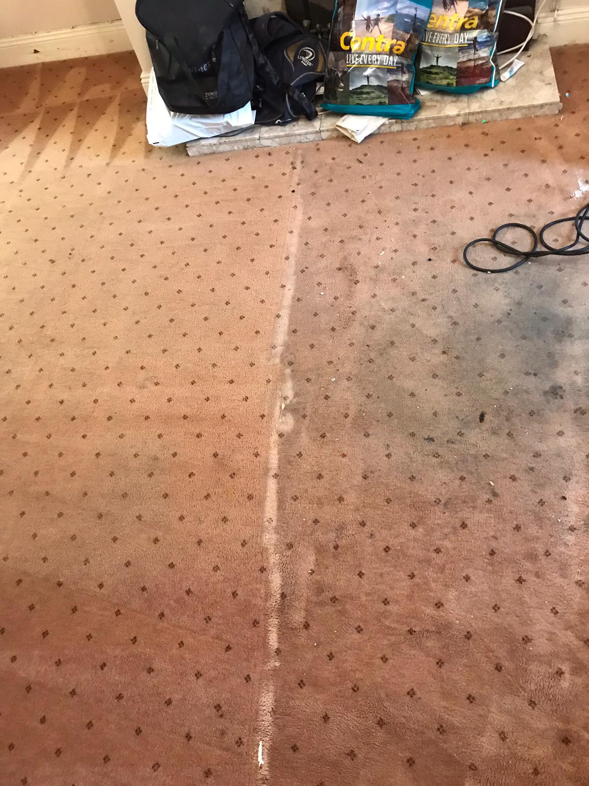 Getting Rid Of The Grime In Your Carpet