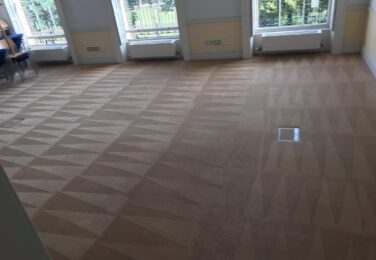 Hire The Professionals To Clean Your Carpet