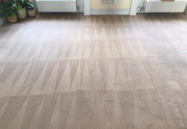 Get Your Carpet A Thorough Wash