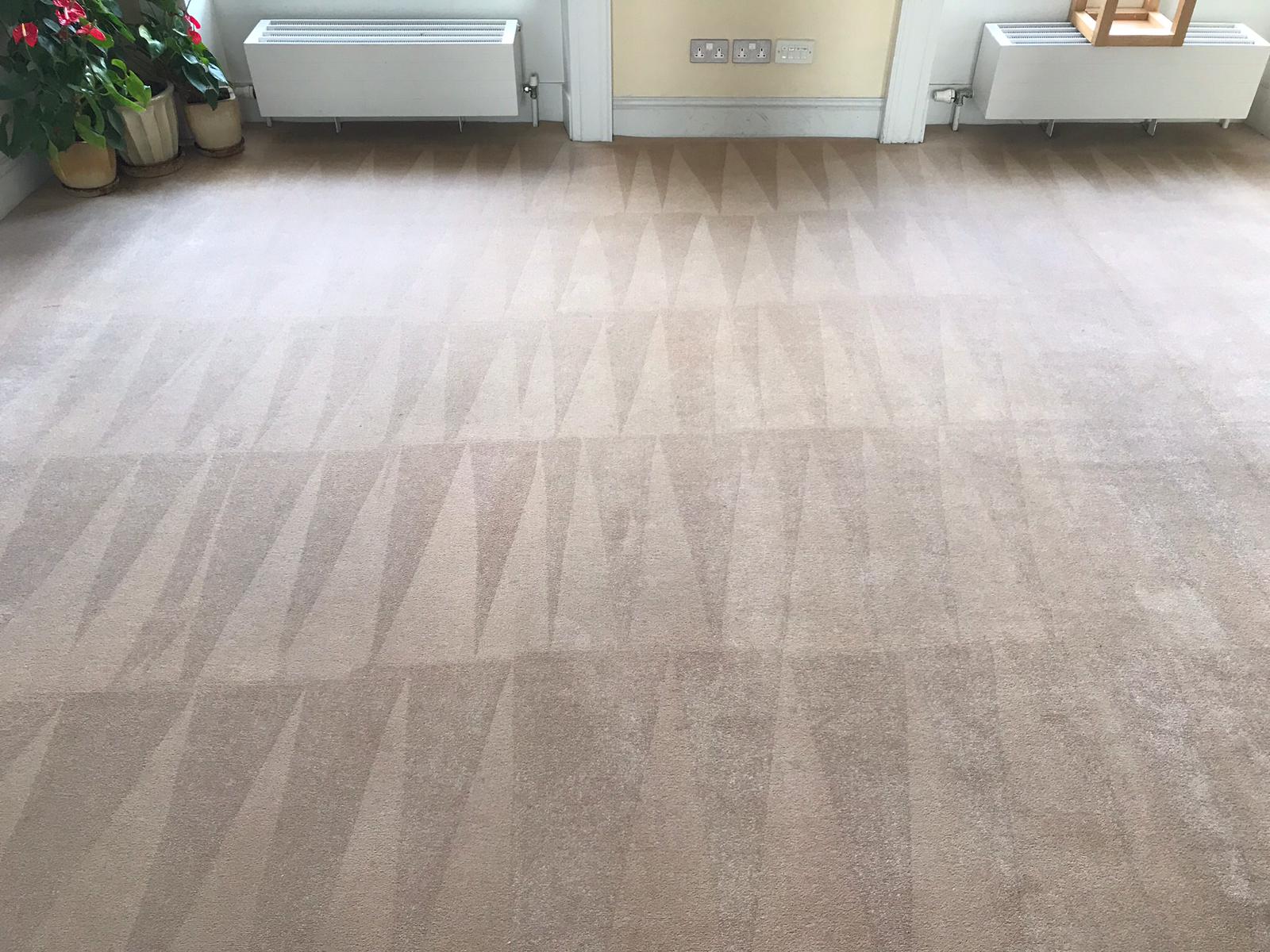 Get Your Carpet A Thorough Wash