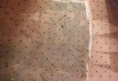 Get In Touch With Us To Clean Your Carpet