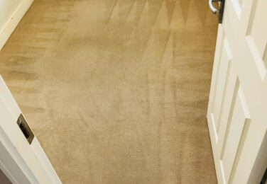 Expensive Mistakes Made During DIY Carpet Cleaning
