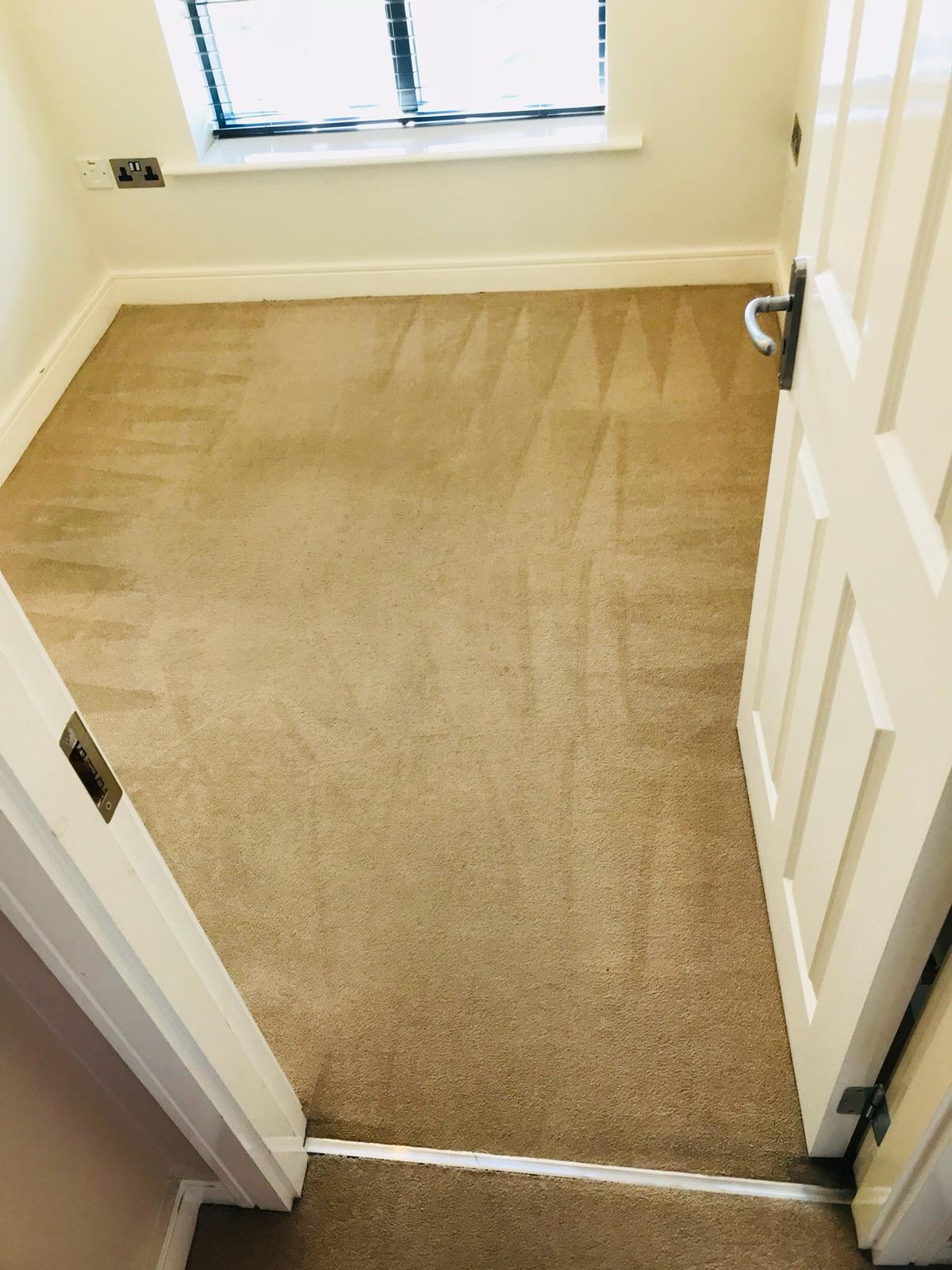 Expensive Mistakes Made During DIY Carpet Cleaning