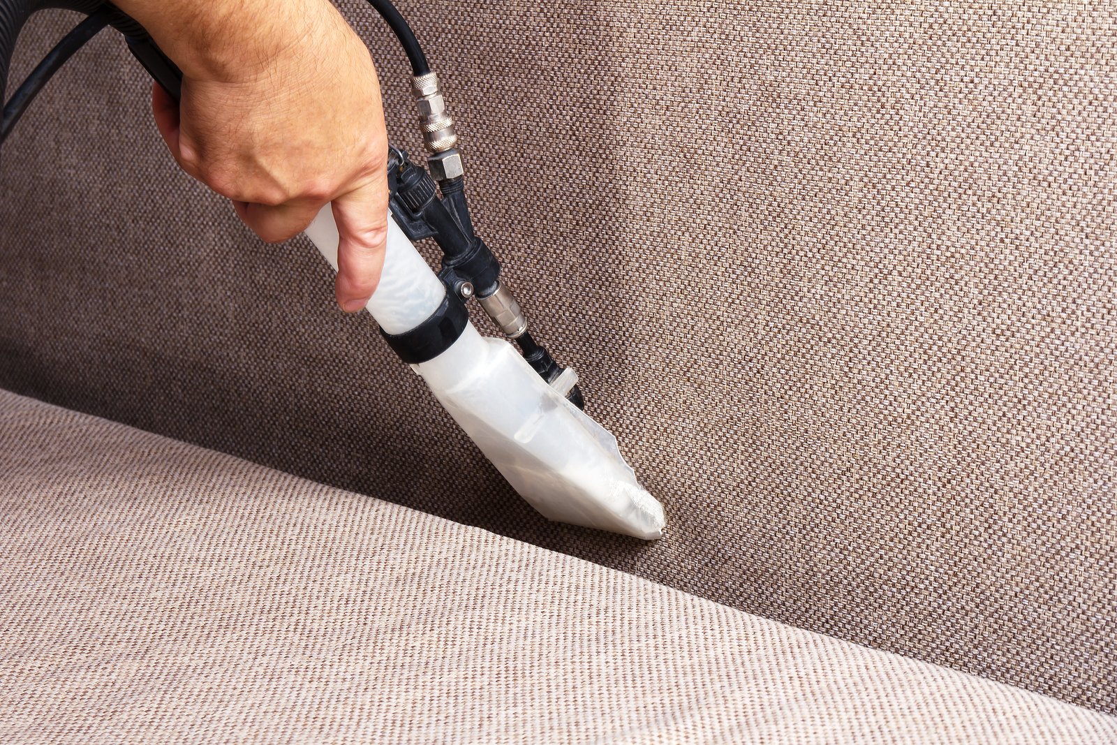 Restore Your Sofa To Its Elegant State Using Professional Cleaning Services
