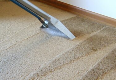Carpet Care With A Professional Touch