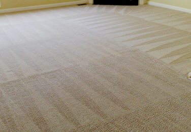 Quality Carpet Care With Professional Cleaning Services