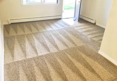 Catering To Your Carpet Cleaning Needs