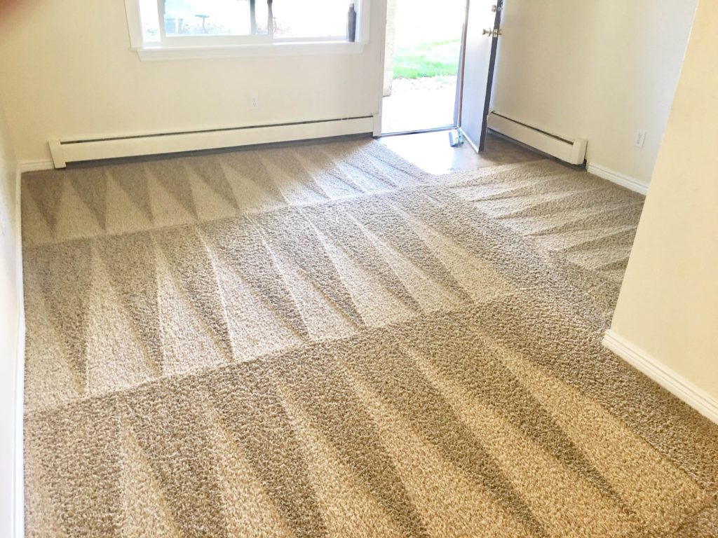 Catering To Your Carpet Cleaning Needs