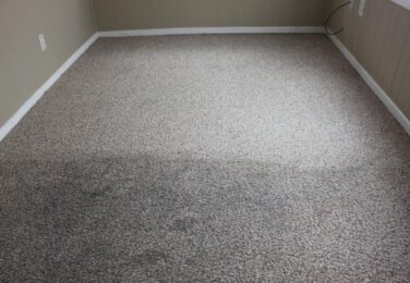 Carpet Cleaning Professionals Ready To Take Care Of Your Needs