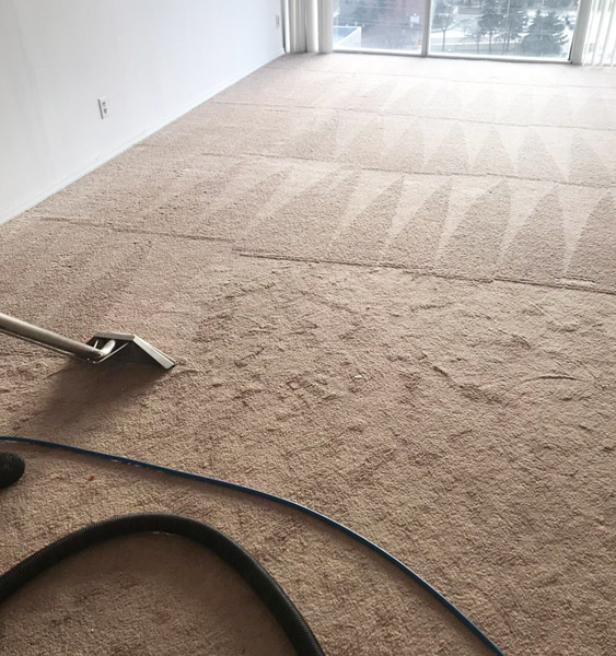 Stains Ruining Your Carpet? Get Rid Of Them With Professional Cleaning Services