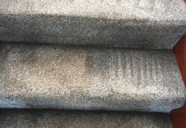 Is Your Carpet Making You Sick? How To Find Out The Truth And Keep Yourself Safe