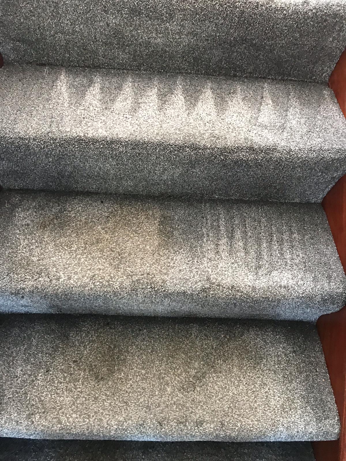Is Your Carpet Making You Sick? How To Find Out The Truth And Keep Yourself Safe