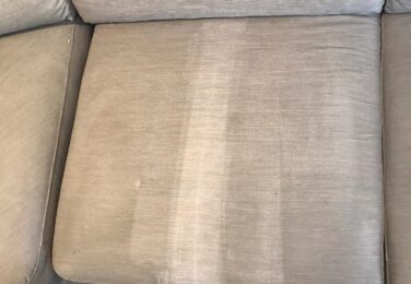 Of Pets And Couches & How To Get The Best Of Both Worlds