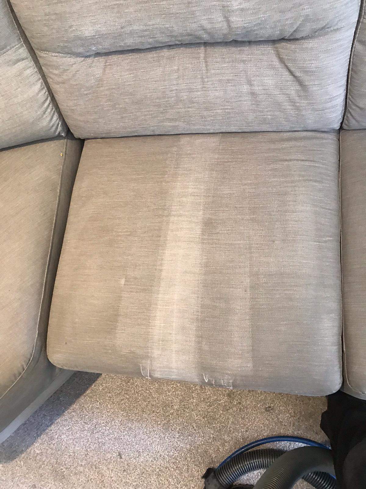 Of Pets And Couches & How To Get The Best Of Both Worlds
