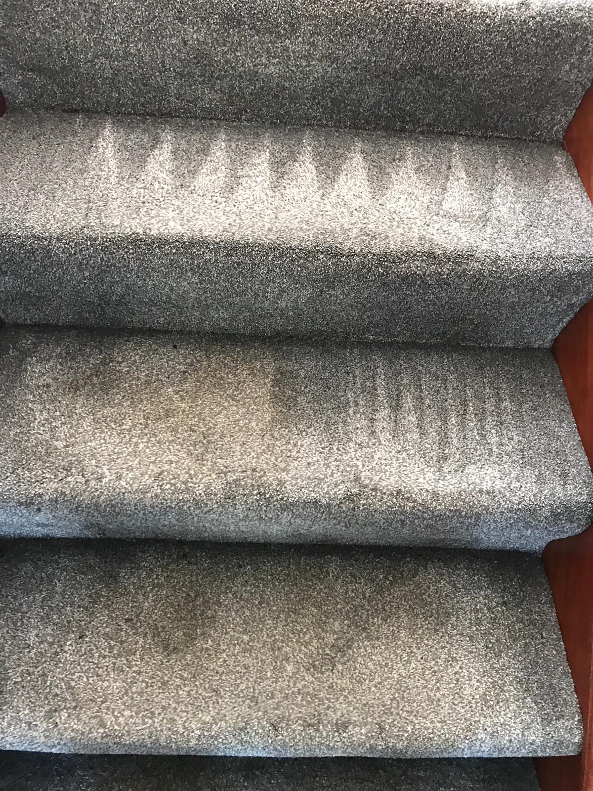 DIY Carpet Cleaning Horror Stories: What Could Possibly Go Wrong?