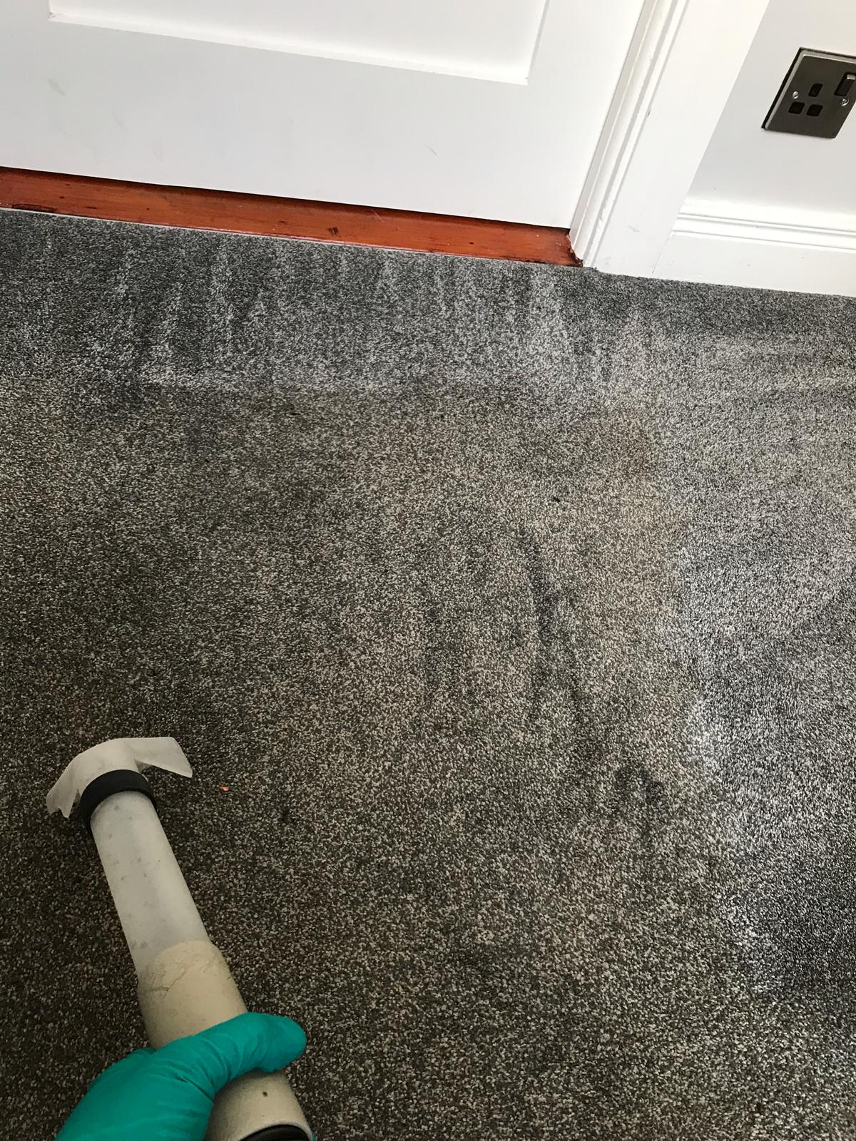 6 Common Mistakes Made During DIY Rug Cleaning