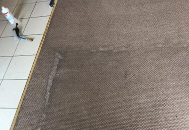 Care And Maintenance For Your Carpet