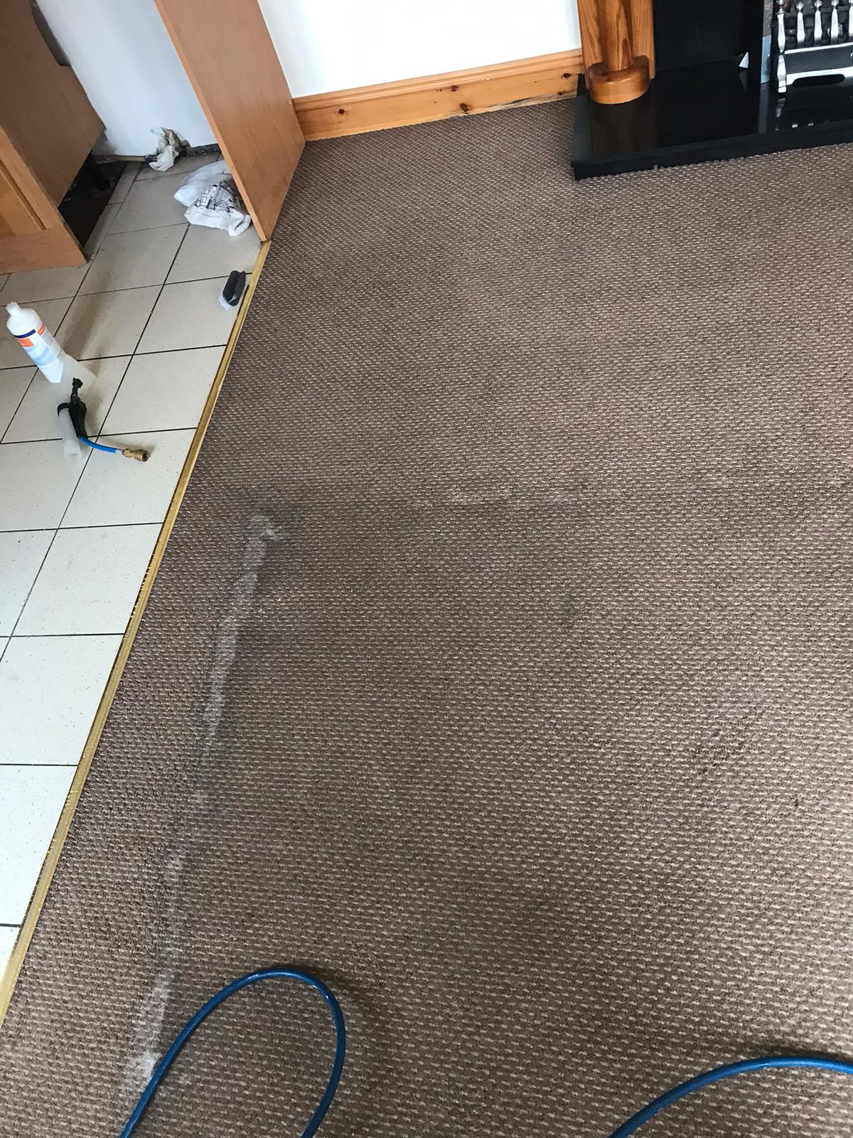 Care And Maintenance For Your Carpet