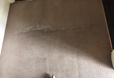 The Benefits Of Having Your Rug Professionally Cleaned