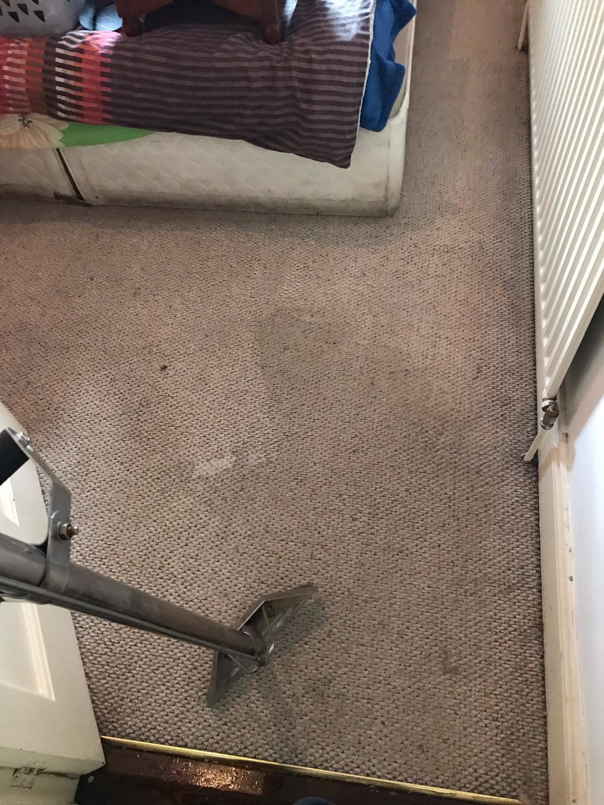 Dealing With The Smell Coming From The Carpet