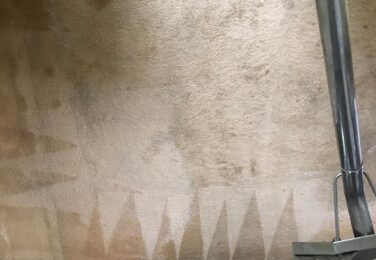 Finding Professional Carpet Cleaning Services