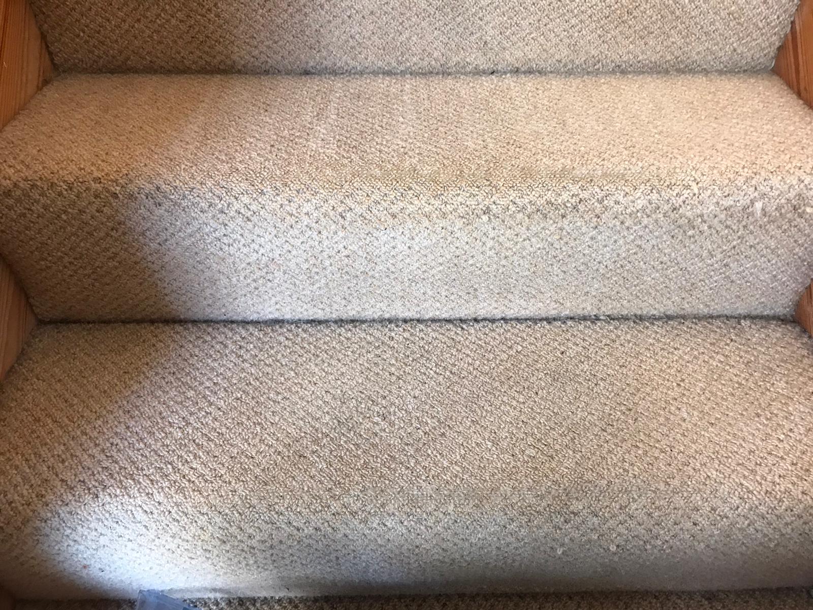 Getting Your Carpet Cleaned After An Illness
