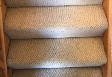 Dealing With Pet Problems On Your Carpet