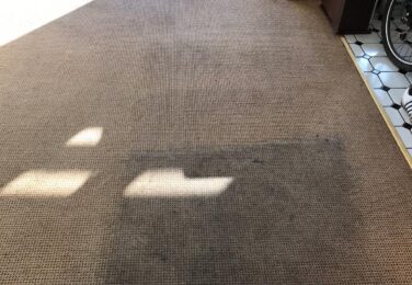 Extending The Life Of Your Carpet Through Professional Cleaning Services