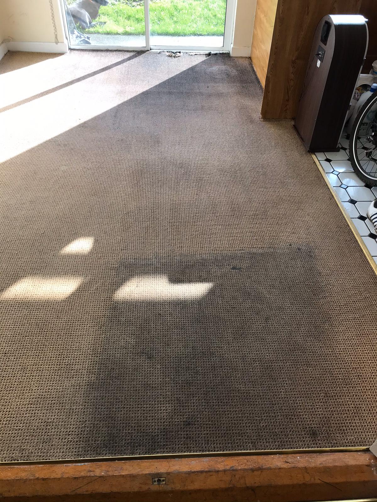 Extending The Life Of Your Carpet Through Professional Cleaning Services