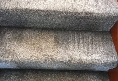 What’s In A Dirty Carpet?
